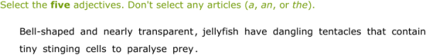 IXL - Identify adjectives (2nd year English practice)